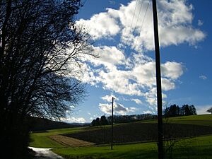 Allschwil countryside