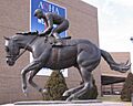Amarillo Texas - AQHA - Dash for Cash