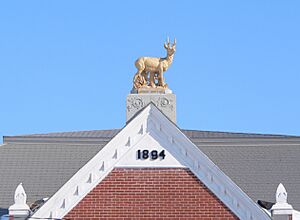 Antelope County Courthouse (Nebraska) W roof antelope