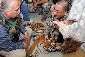 Army veterinarians, an ill tiger cub and a zoo in Iraq