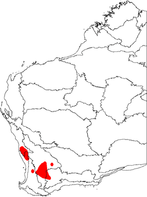Banksia vestita map.png