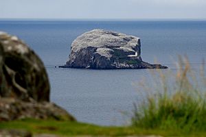 Bass Rock from Law