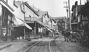 Burke, Idaho c. 1891