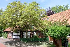 Buschhaus in Wiedensahl