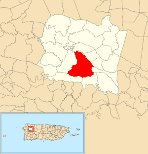 Location of Calabazas within the municipality of San Sebastián shown in red