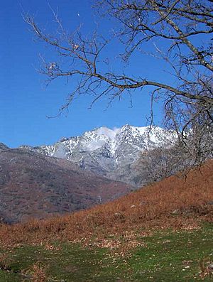 CandeledaSierraDeGredos