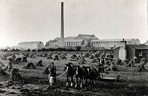 Carlow Beet Factory 1935