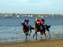 Carreras de caballos en la playa de Sanlúcar