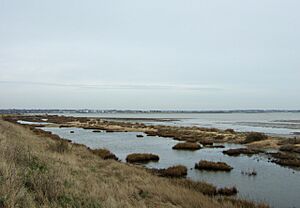 Colne Estuary - geograph.org.uk - 1182369