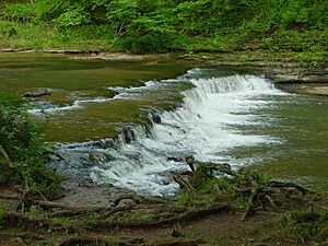 Crockett Falls in David Crockett State Park (Side View - June 2005)