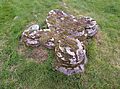 Dale Abbey 2019 column base south east crossing 01