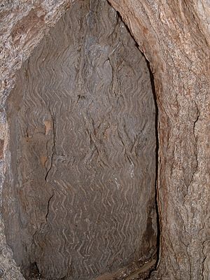 Dig tree inscription