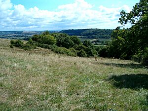 Eastfield Local Nature Reserve - geograph.org.uk - 231077
