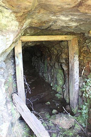 Entrance to World War 2 demolition tunnel and chamber above northern portal of the railway tunnel