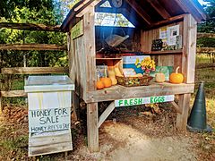 Farmstand in Springs 091818