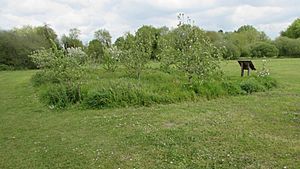 Fisherton Community Orchard 2