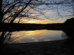 Flax Pond, Nickerson State Park, Brewster MA.jpg