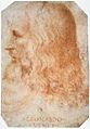 Francesco Melzi - Portrait of Leonardo - WGA14795