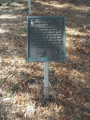 GA Brunswick Old Town HD Lovers Oak plaque01