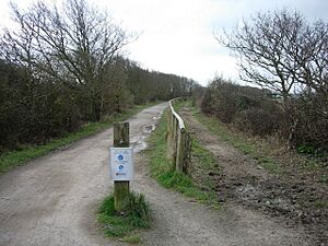 Hayling Billy Trail - geograph.org.uk - 371016