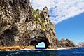 Hole In The Rock In Bay Of Islands
