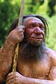 Homo sapiens neanderthalensis-Mr. N