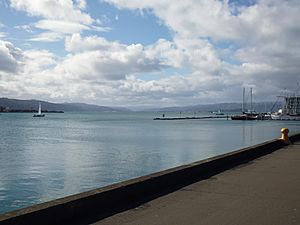 Hutt Valley across the harbour