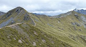 Kepler Track, New Zealand (54)