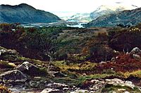 Killarney National Park - View to northeast off N71 - geograph.org.uk - 1632921.jpg