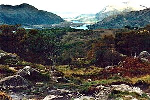 Killarney National Park - View to northeast off N71 - geograph.org.uk - 1632921
