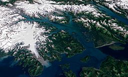 Landsat GlacierBay 01aug99.jpg