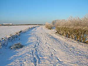 Lane to Hill of Beith Castle