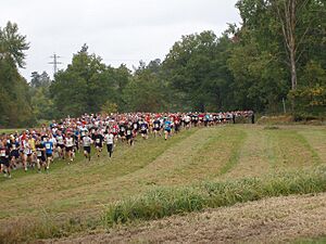 Lidingöloppet 27 september 2008 startgrupp 3mil.jpg