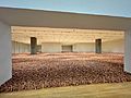 M+ 安東尼．葛姆雷：亞洲土地 Antony Gormley - Asian Field, 2021