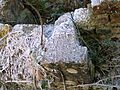 Millburn cottage detail
