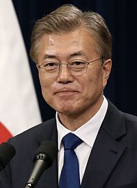 Moon Jae-in 2017 (cropped).jpg