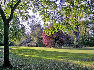 Morden 4 Autumn colours on Cannon Hill Common geograph-2376006-by-Ben-Brooksbank