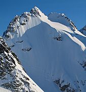 Mt. Fitzsimmons of Spearhead