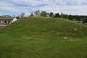 Nikwasi By Phil Konstantin