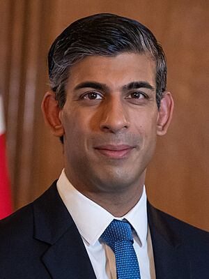 Official Portrait of Prime Minister Rishi Sunak (cropped)