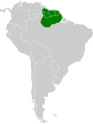 Range of Guiana Gnatcatcher