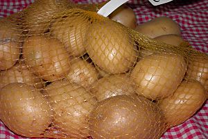 Potato variety Agata