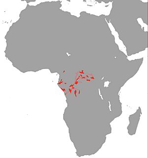Protopterus dolloi Map.jpg