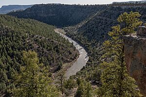 Rio Chama viewed from southern end of Heron Lake State Park on 5 May 2022