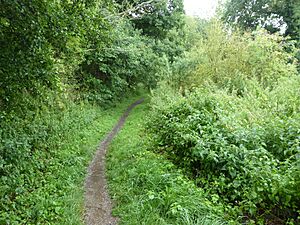 Riverside Walk, Hadleigh 1