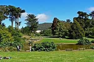 San Francisco Botanical Garden Great Lawn 2.jpg