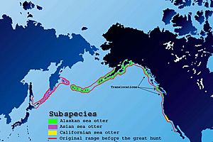 Sea-otter-map