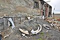 Somnitelnaya 2 2014-08-19