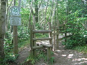 Stile on Greensand Way - geograph.org.uk - 1321596
