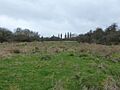 Stoke Bruerne Brick Pits 7
